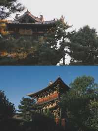 6日暢遊朔州等地 這篇攻略就夠了