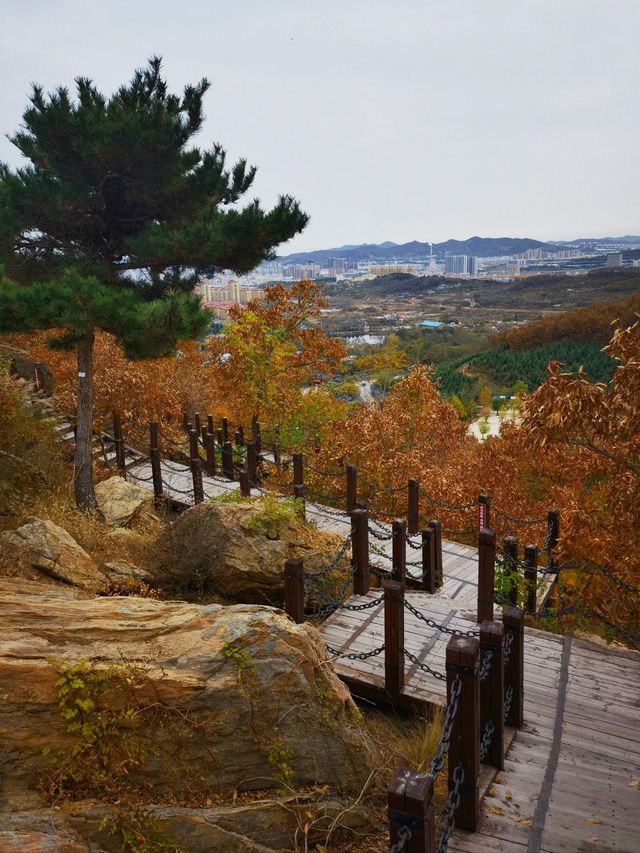 5日行走 邂逅美麗的青島-威海-煙台 旅行從此不迷路