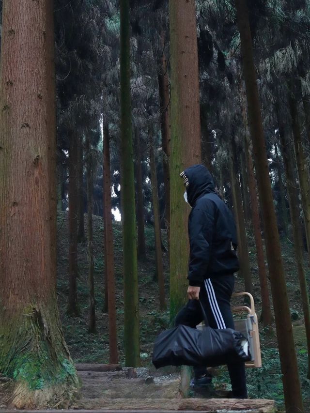 救命！成都周邊呢片森林簡直係綠野仙蹤本蹤！