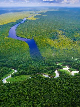 Manaus: A City Shining Like a Brilliant Pearl