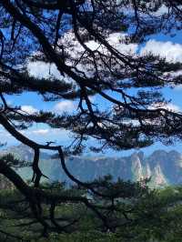 4天春遊九江等地超詳細攻略 趕緊碼住