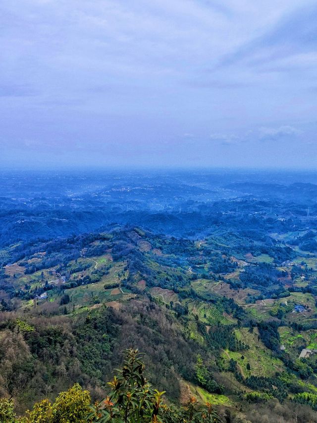 春遊熱門走起樂山-成都新風向 賞花也能這麼美