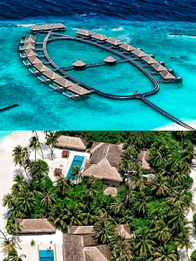 馬爾代夫維拉私人島入住億萬富豪私人花園