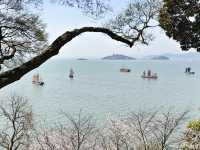 黿頭渚賞櫻省力省時攻略