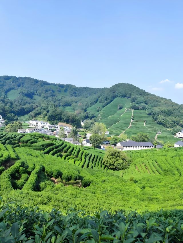 春天最適合上的山，可以無腦衝……