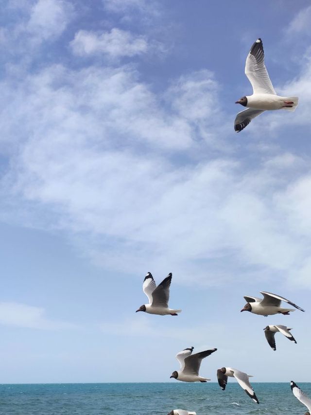 小長假去海北等地 這才是你嚮往的生活