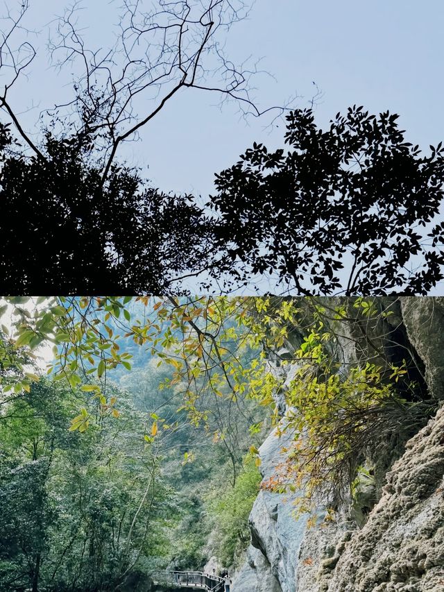 嚟重慶唔只有洪崖洞 仲有武陵山大峽谷