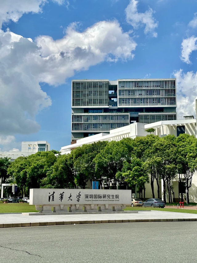 書香湖畔：漫步深圳大學城的詩意時光