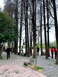 邂逅桃花盛宴︳瘦西湖全攻略感受春天嘅浪漫啦