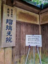 京都深度遊|直接棄清水寺！三千院才是yyds