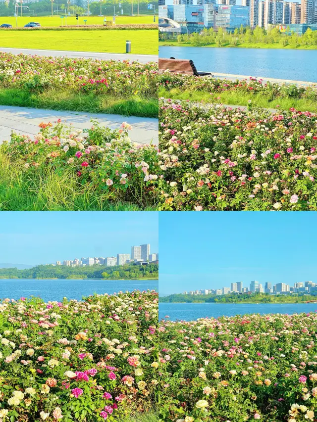 청명절 2박 3일 여행 계획