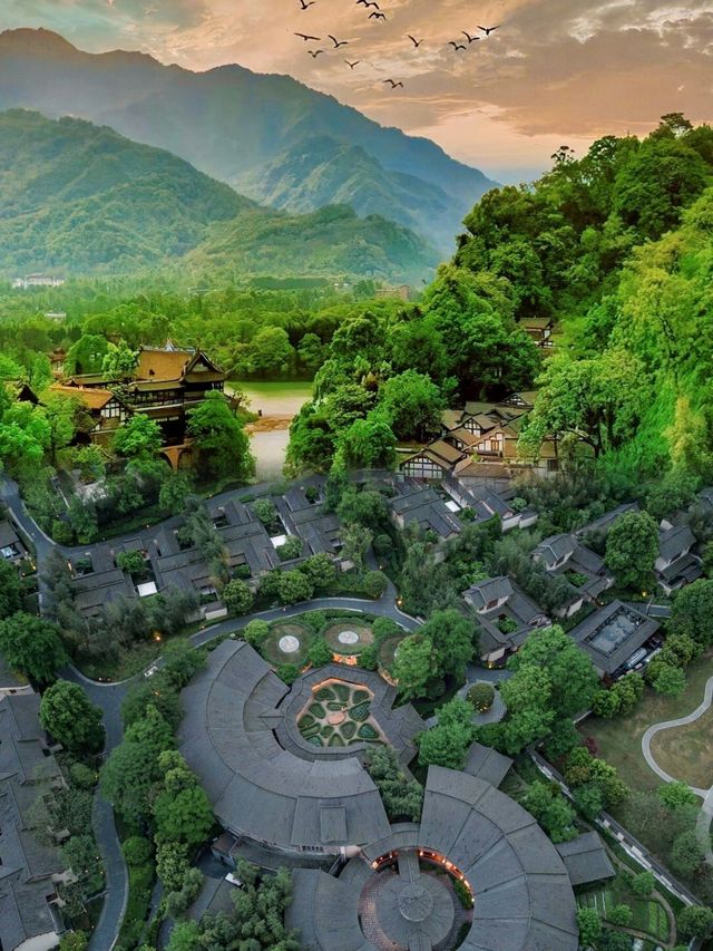 走進青城山，赴一場綠野仙蹤之約