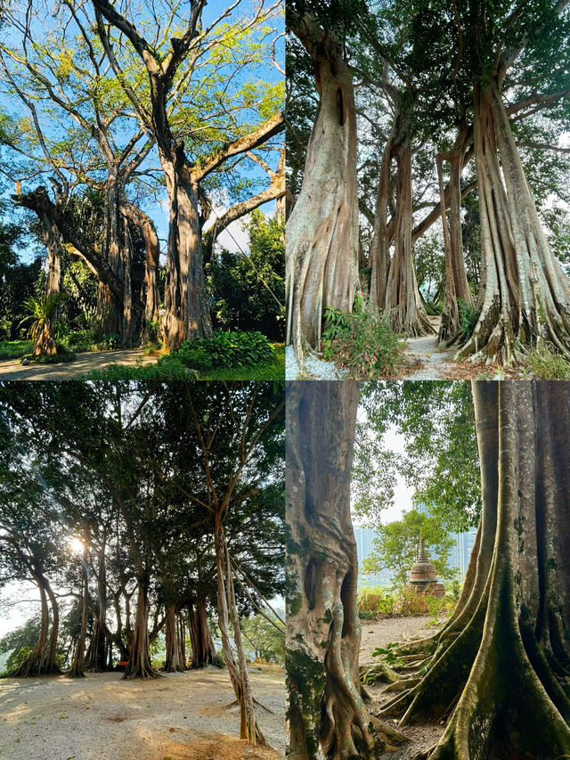 瑞麗攻略｜嚟雲南必去嘅異域風情邊境小城