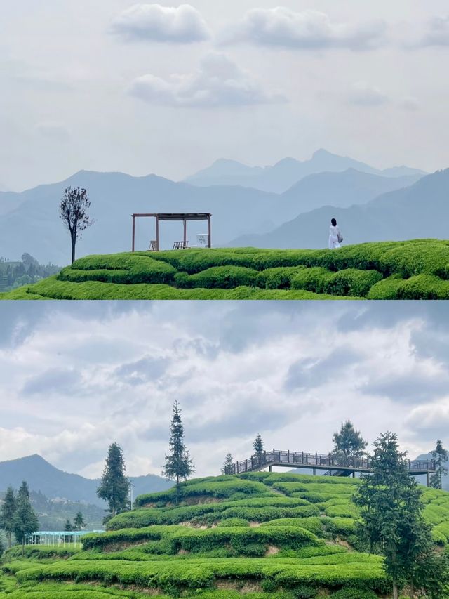 三峽茶旅小鎮：山水與茶香的邂逅