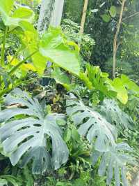 鄭州｜植物園｜中原綠意秘境與自然奇觀