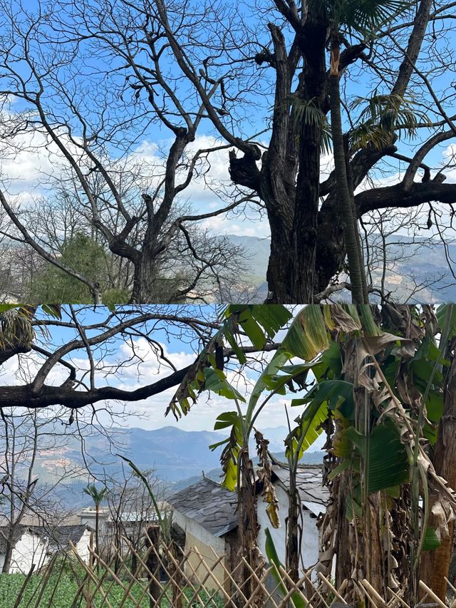 探索雲南古墨村，千年墨香飄四方