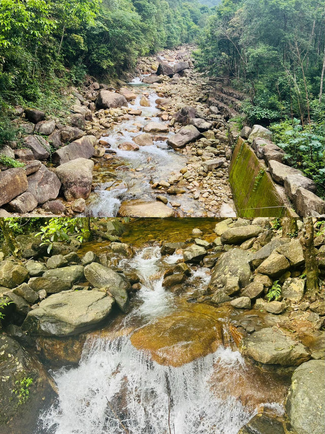 探索賀州姑婆山：邂逅一趟自然與詩意的旅程