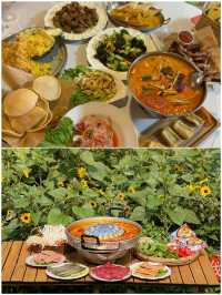 西雙版納回來了，真不建議4月去