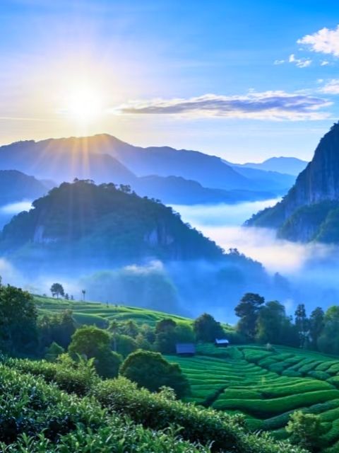 福建武夷山慳錢旅遊及避坑攻略