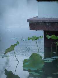 花窗疏影錄，解構「一步一景」的東方美學。