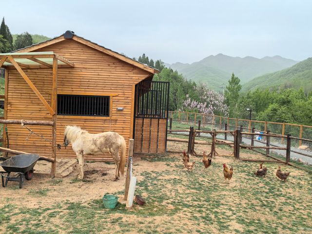 環境雅致的歷山.左岸民宿