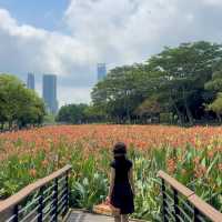 深圳·去一次就會愛上的公園🍃中心公園