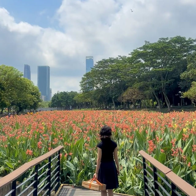 深圳·去一次就會愛上的公園🍃中心公園