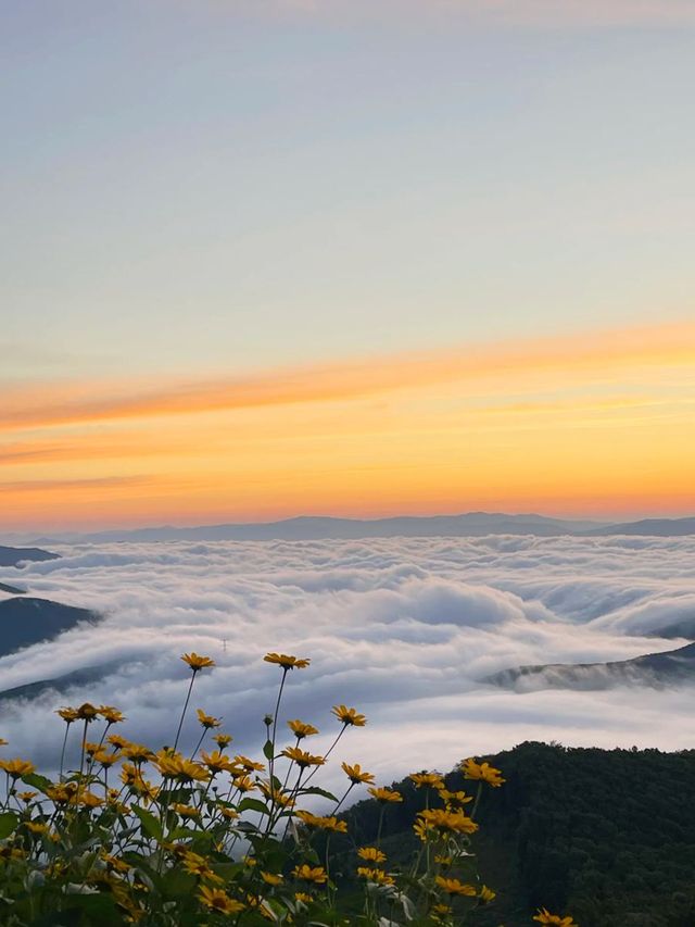 東北人嘅阿勒泰 雲端草原