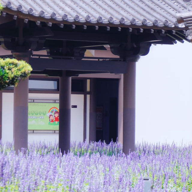 廣州文化館｜闖入莫奈花園的紫色夢境花海💜 