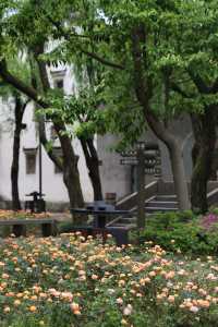 諸暨西施故里，像一座開放式的園林公園！