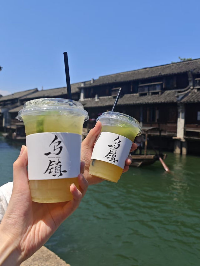 Wuzhen Xizha Scenic Area 🛶🌳🇨🇳