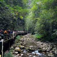 ⛰️ 🌁 Zhangjiajie Grand Canyon – Quick Guide