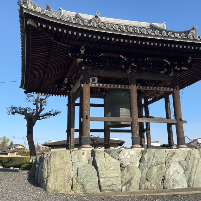 名古屋小眾賞櫻寶地 | 香穡積院的櫻花之約