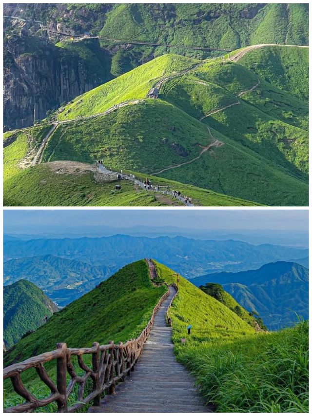 武功山已回！真嘅唔建議五月去