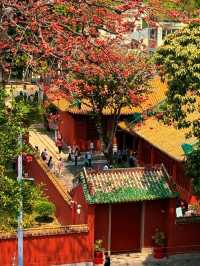 Yes, this is really not Beijing, it is the Guangzhou Peasant Movement Institute Memorial Hall.🇨🇳