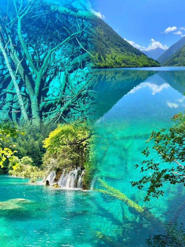 九寨歸來不看水，附三天兩晚超詳細攻略