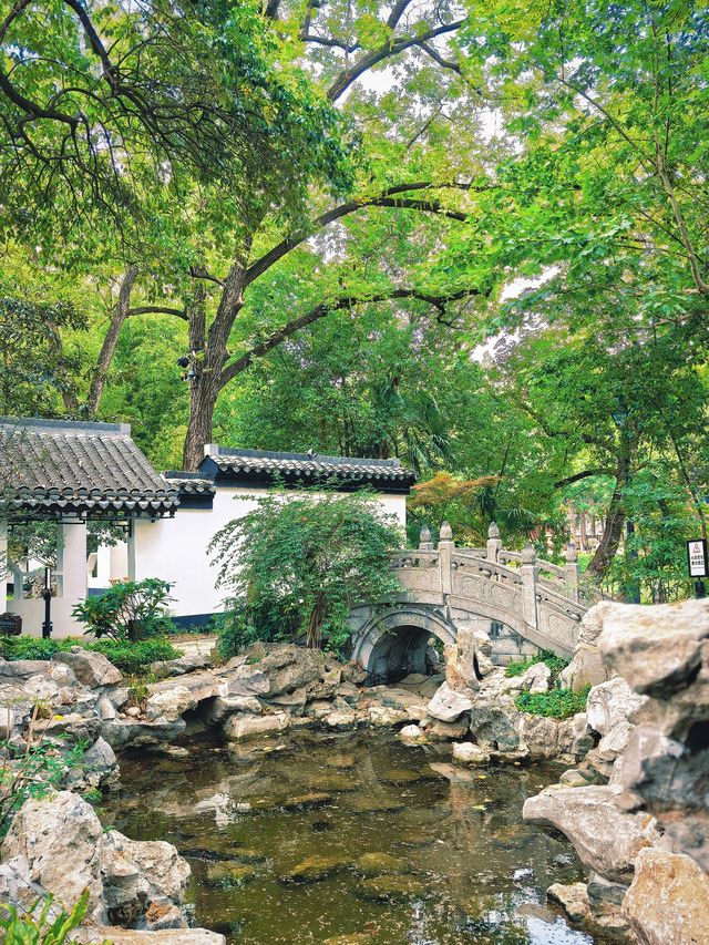 合肥隱世美學｜包公園浮莊裡的水墨秘境