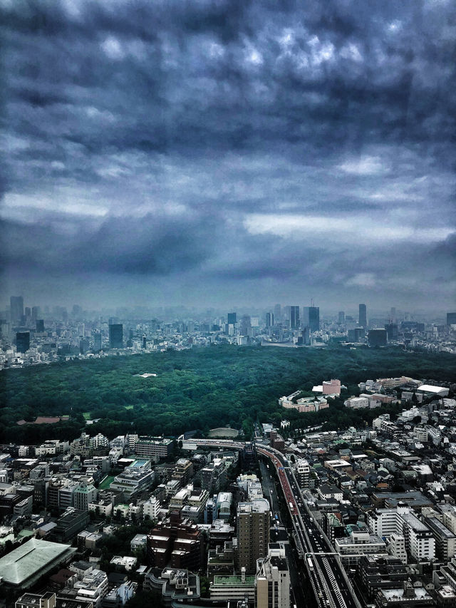 # 日本東京｜入住東京柏悅酒店