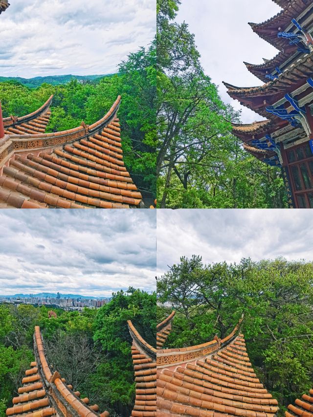 金殿風景區 | 在昆明，一場穿越古韻的夏日之旅