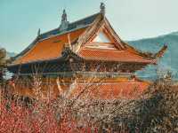 重慶開州舉子園