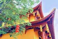 石室禪院：隱藏於片中的千年古剎