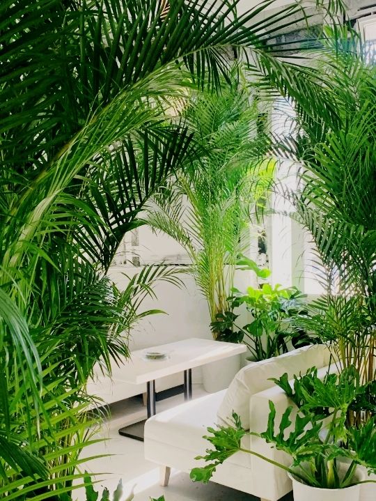 ✈️ 穿越時空的機場咖啡廳：OSA COFFEE夢幻體驗