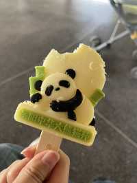 PANDA PANDA熊猫🐼好可爱～