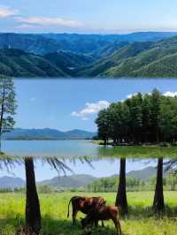 2小時隱入山林療癒，獨享絕佳觀景地，回歸山野生活