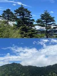 探秘「華中屋脊」，邂逅野人傳說！