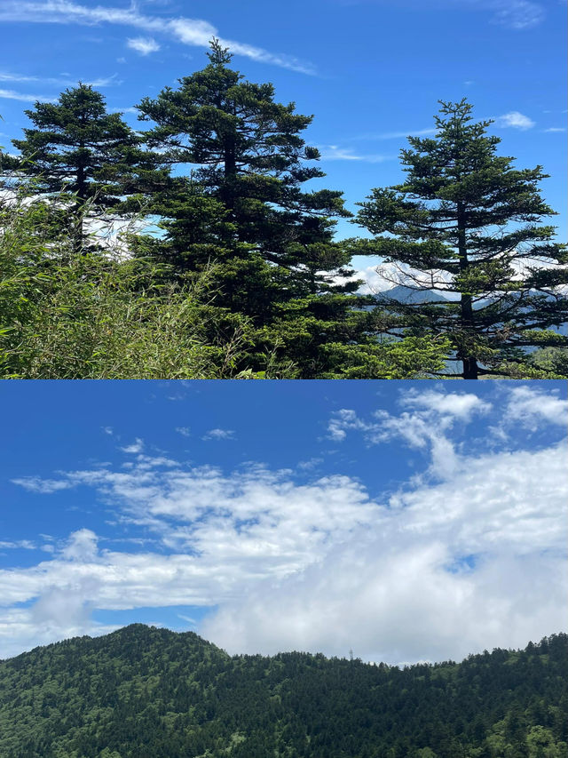 探秘「華中屋脊」，邂逅野人傳說！