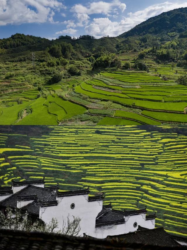 住進篁嶺的山野夢境，推窗即見綠野仙蹤