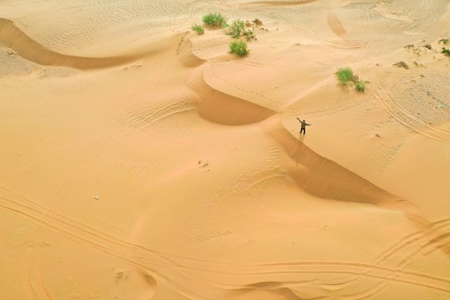 寧夏中寧旅行，遇見黃羊古落