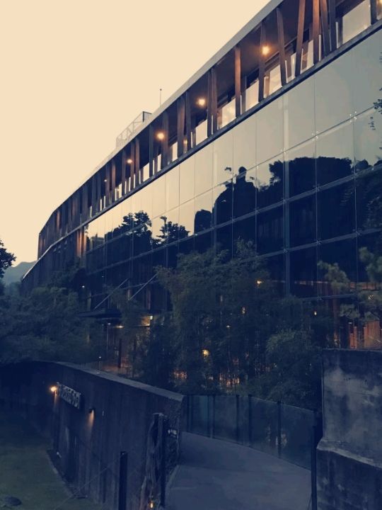 台北秘境！泰安觀止溫泉：山林間的私湯天堂