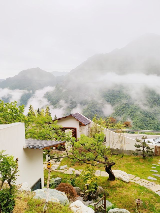 神農架|與孩子共赴山野之約在木魚鎮的雲霧深處